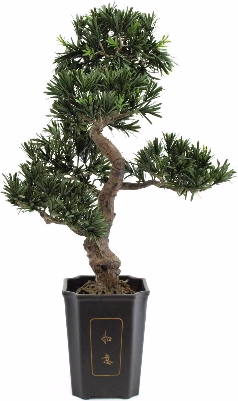 EUROPALMS Bonsai Podocarpus, pianta artificiale, 80cm
