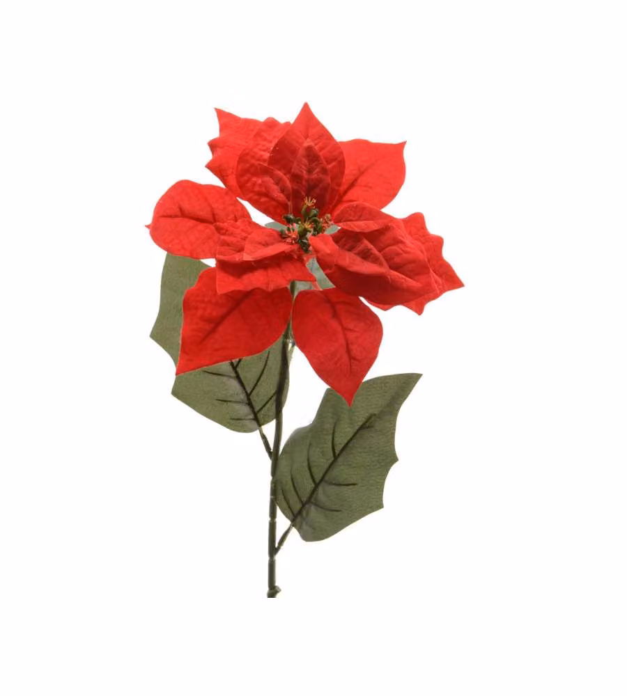 Stelo di Stella di Natale h 67 cm