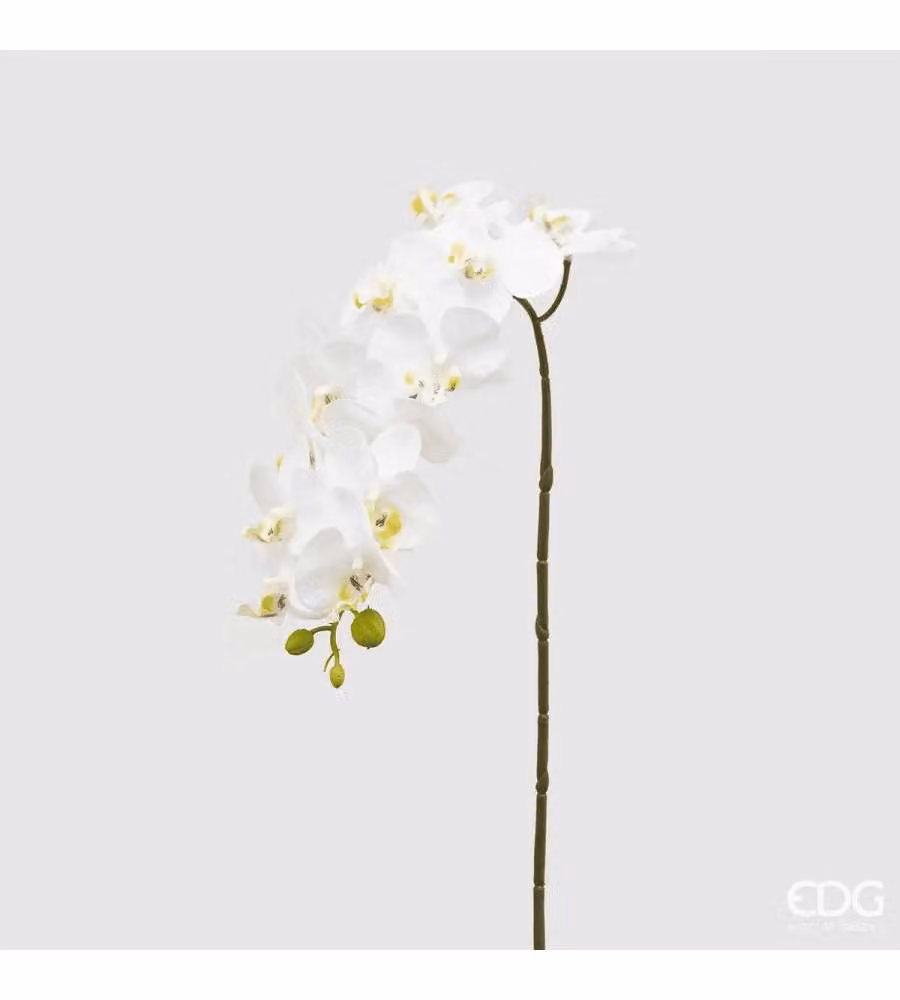 EDG Pianta Ornamentale Artificiale 58 cm Bianco Decorativa