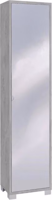 Armadio 1 Anta con Specchio 43x190x29 cm Cemento