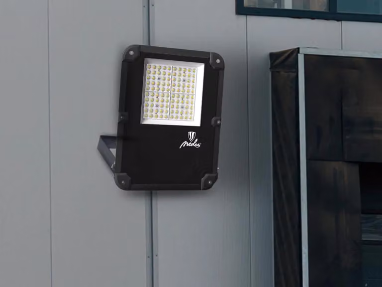 NEDES Riflettore LED esterno PROFI Plus 50W / 5000K / Nero - LF4024N
