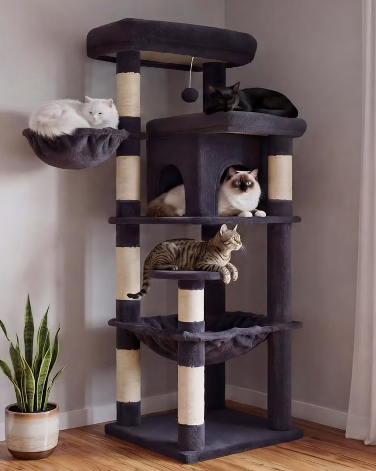 Albero per gatti, colore grigio, 2 livelli, altezza 142 cm, adatto per gatti di grossa taglia