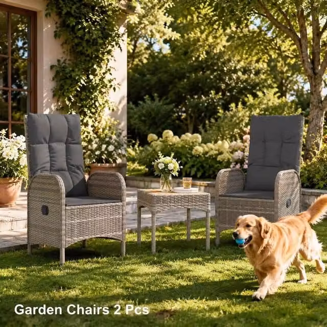 Garden Chairs, 2 Pieces, Poly Rattan, Grey
