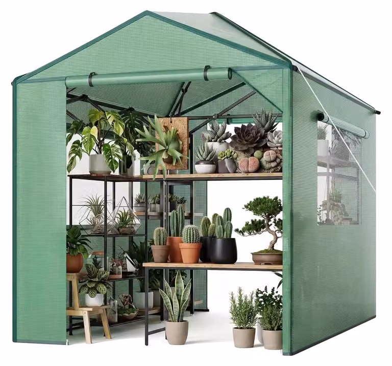 Serra con accesso, porte a rullo con cerniera, finestre di ventilazione, dimensioni 1,8 x 2,4 metri
