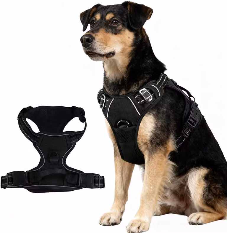 Imbracatura per cani, taglia media, riflettente, traspirante, taglia M, ideale per le passeggiate