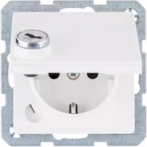 Berker 41636089, Tipo F, guida DIN, bianco, termoplastica, IP20, 250 V