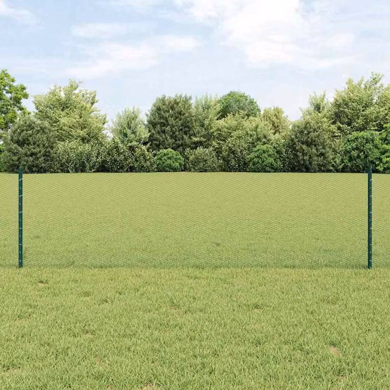 Maison Exclusive - Recinzione con paletto Verde 0,6 x 10 m Acciaio e PVC