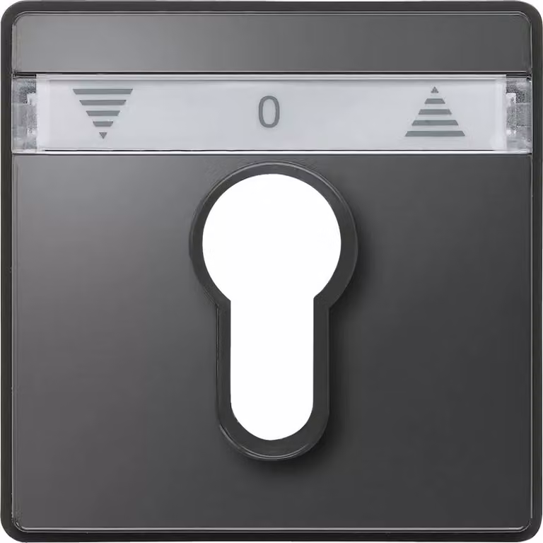 Piastra centrale per moduli interruttori a pulsante e a scatto per tapparelle, antracite, AQUADESIGN