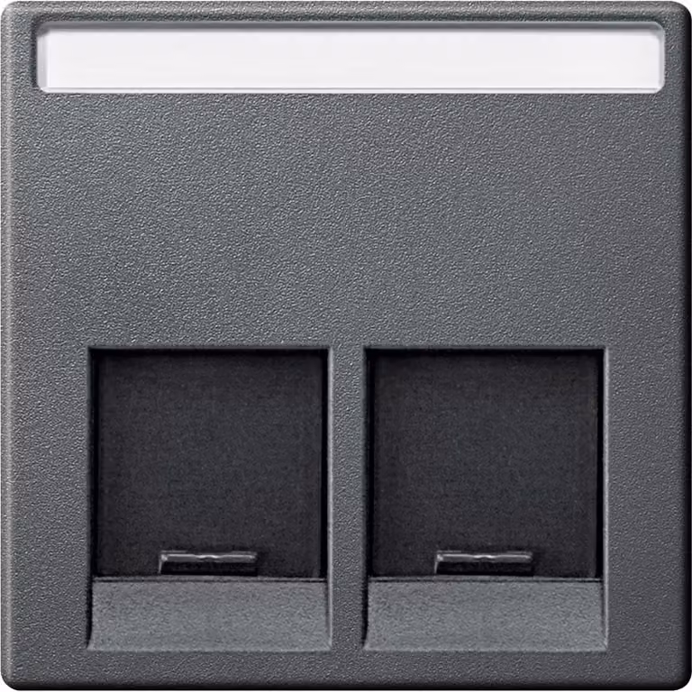 Piastra centrale per connettore Schneider Electric a 2 vie, antracite, sistema M
