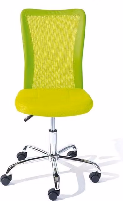 Sedia ergonomico per ufficio - sedia per ufficio con alta schiena, supporto lombare regolabile, 43D x 53L x 88H centimetri