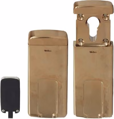 Defender Magnetico MG310 Disec F.sagom Mm 110X55 Ottone Lucido