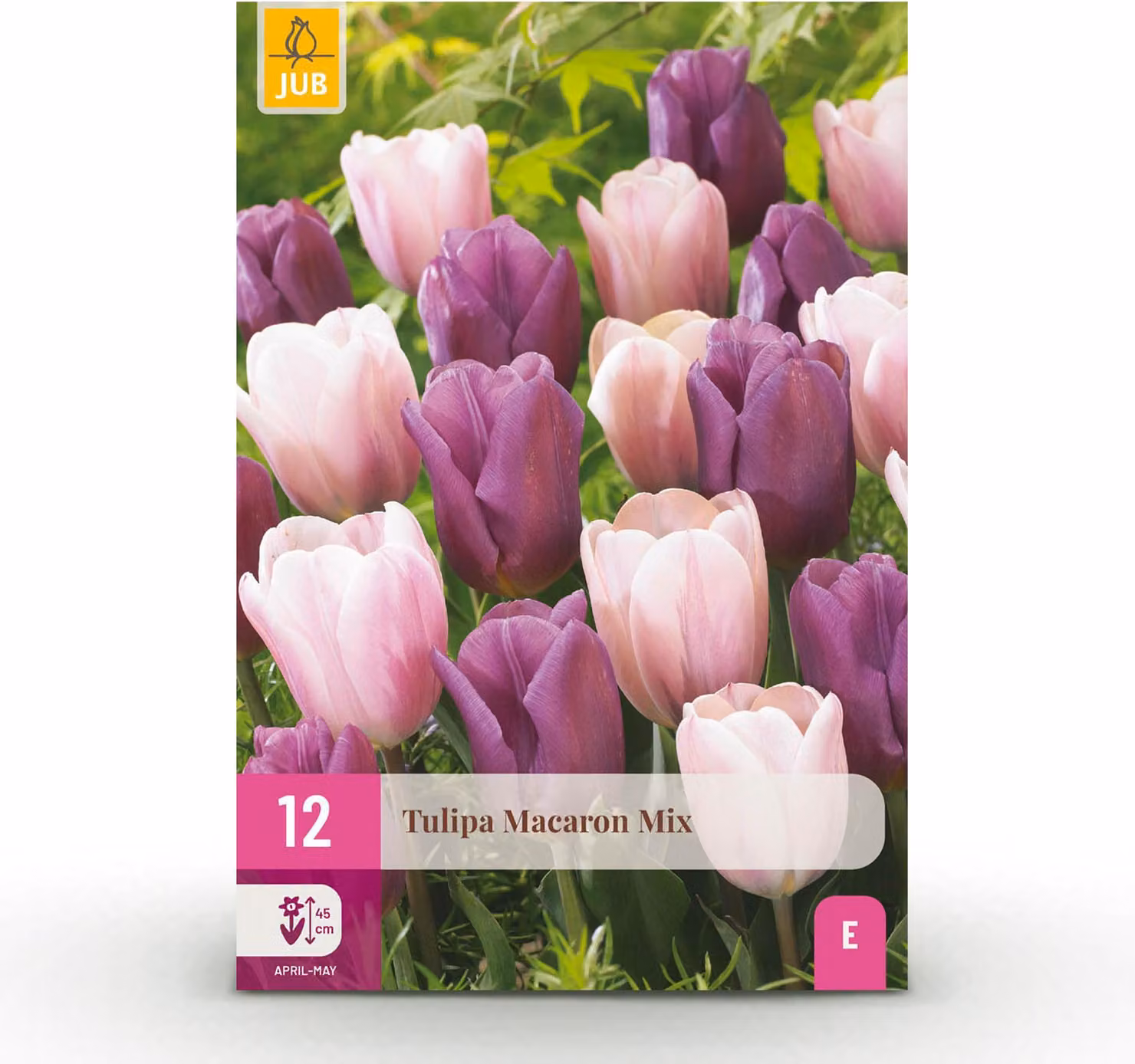 Bulbi da fiore - Tulipano 'Macron mix' - Colori vari - 12 pezzi - Bulbo 11/12 - 20-50cm - Ø5cm - Pianta da giardino - Multideal