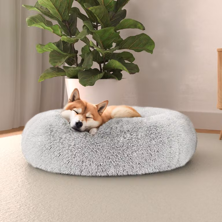 Lenzuolo per letto italiano, cuccia per cani "Dreams", collezione "Sogni e capricci", articoli per animali domestici, creme, 60x60 cm