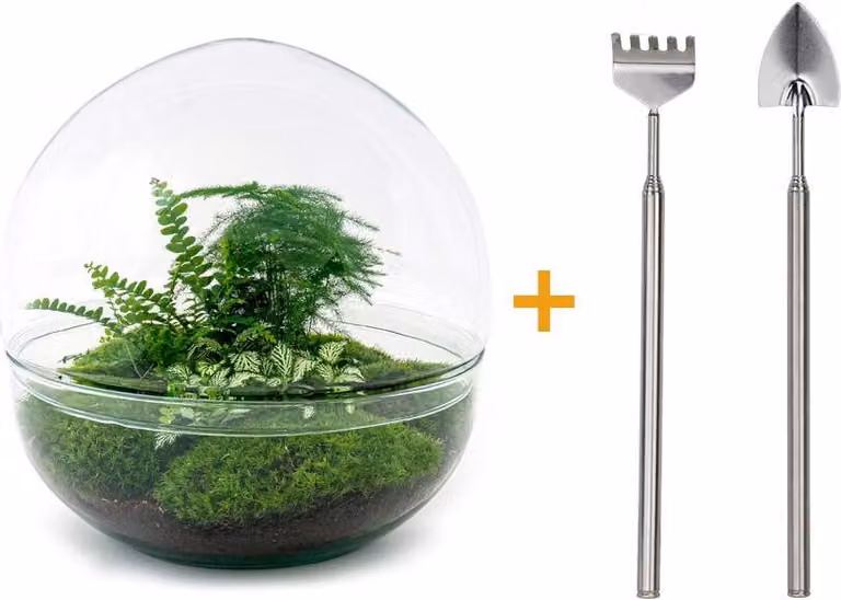 Terrario fai da te - Cupola Xl - ↕ 30 cm