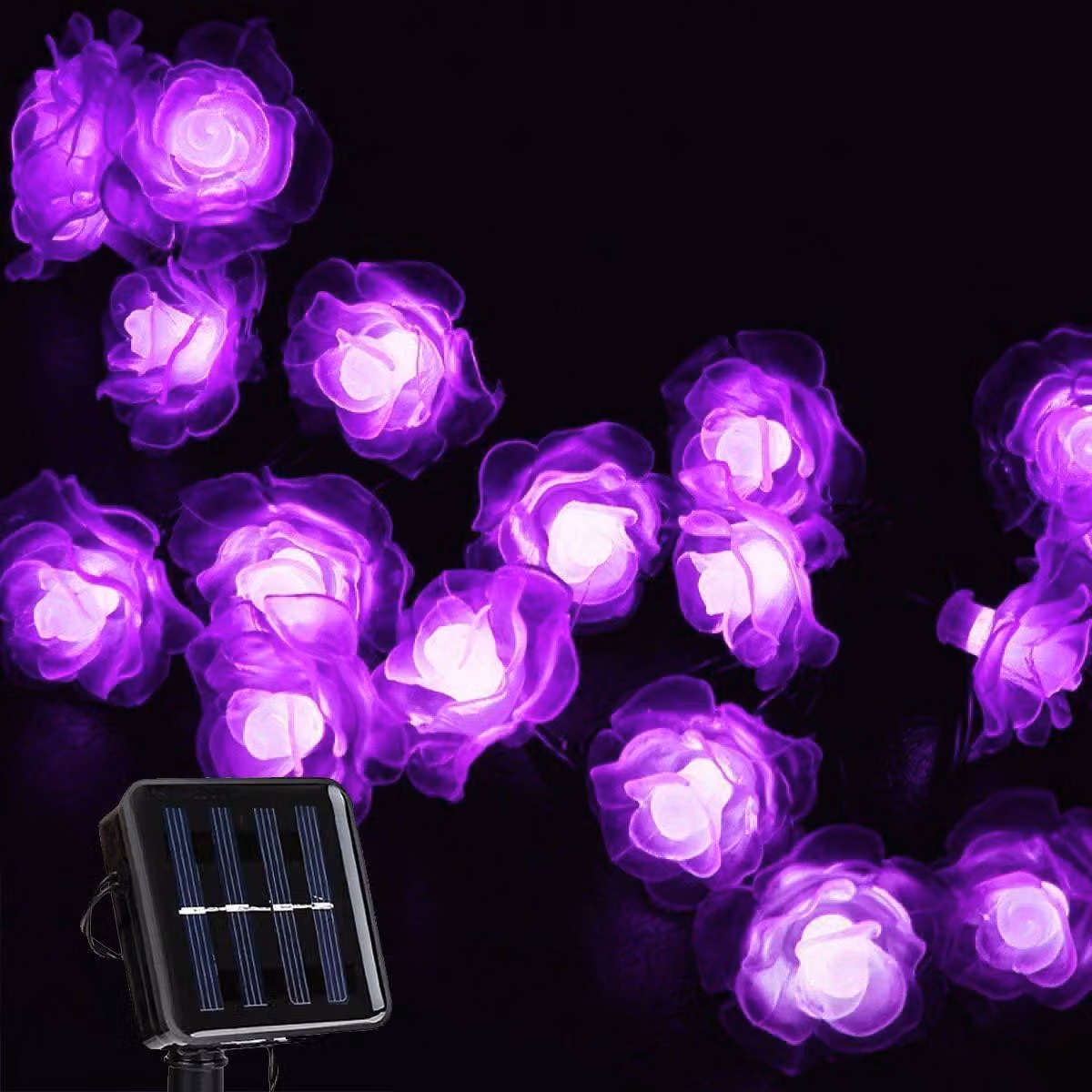 Catena luminosa solare con 20 LED a forma di rosa, colore viola, grado di protezione IP65, impermeabile
