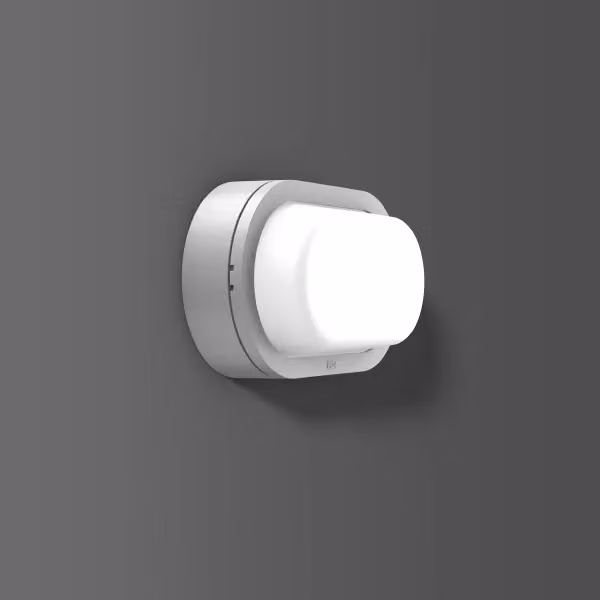RZB Alu-Lux ovale, 12 W, 590 lm, 830, argento, plafoniere e applique con schermo a taglio di fase, L 258 P 148 A 86, 139°/124°, vetro trasparente 582062.004