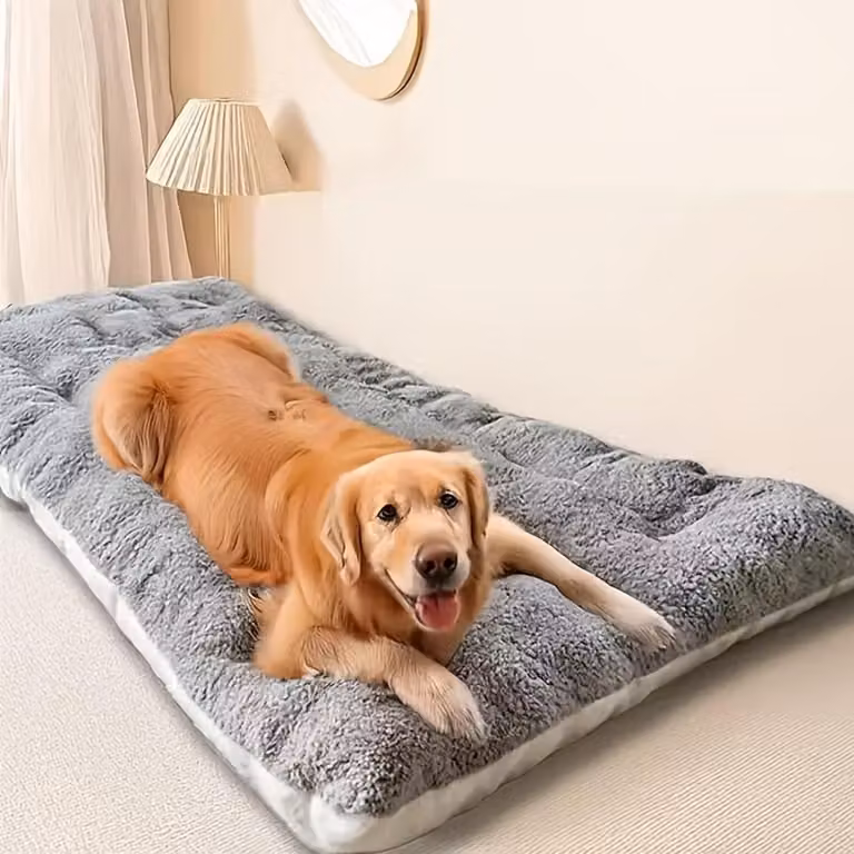 Cuccia per cani lavabile, 60 x 40 cm, antiscivolo, adatta per cani di grossa taglia