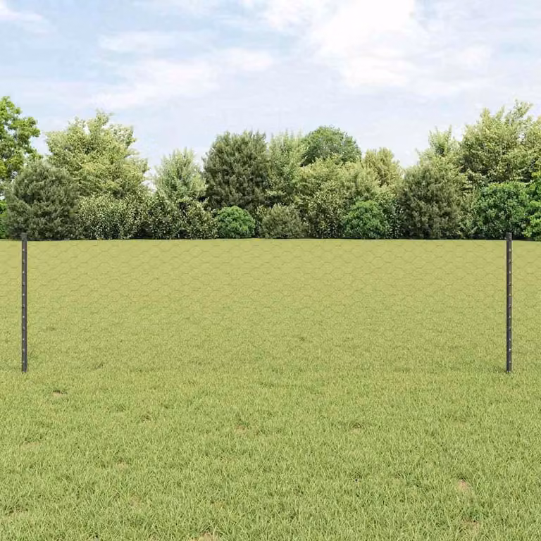 Maison Exclusive - Recinzione con paletto Grigio 0,6 x 25 m Acciaio e PVC