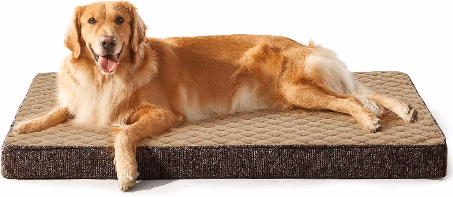 Cuccia per cani, taglia XXL, dimensioni 120 x 74 x 9 cm, lavabile, con base antiscivolo, per uso interno