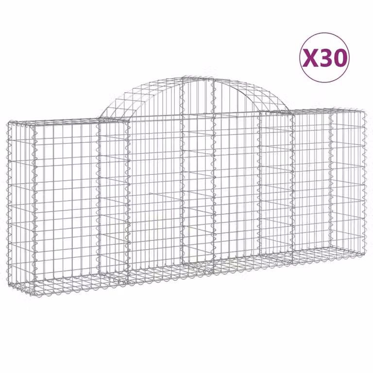 Cesti Gabbioni ad Arco 30 pz 200x30x80/100 cm Ferro Zincato