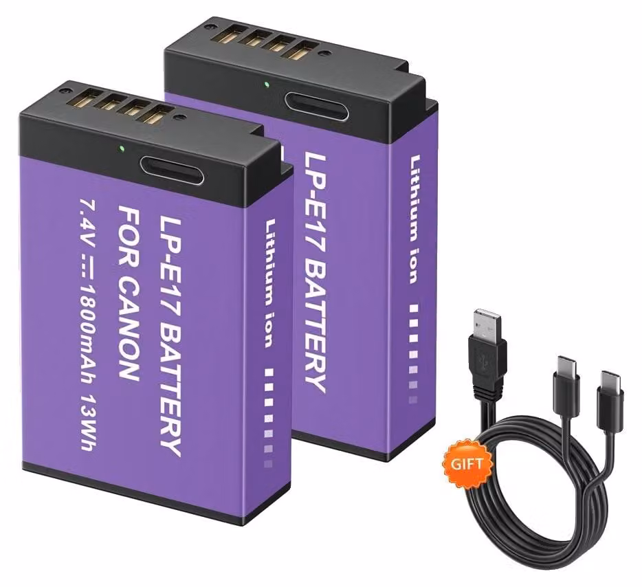Batteria per fotocamera, capacità 1800mAh, con connettore di ricarica USB Type-C, confezione da 2 batterie