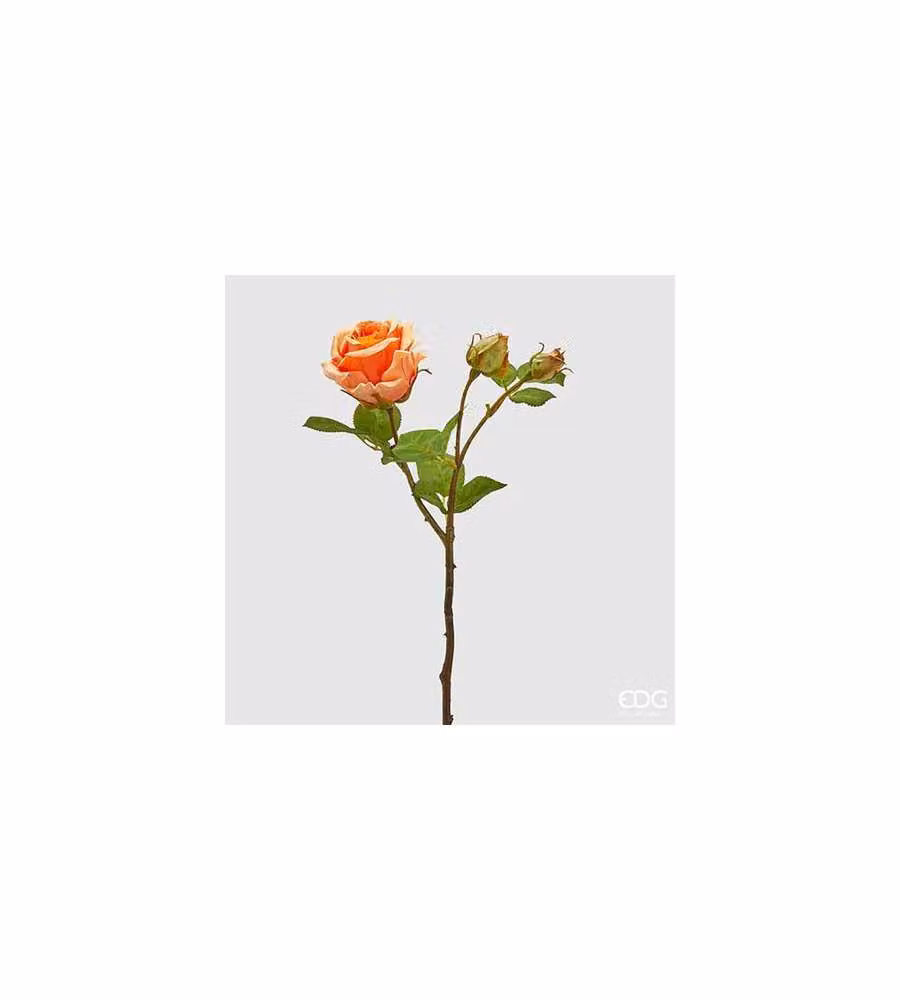 Rosa Elis con 3 rami color Coral h 48 cm