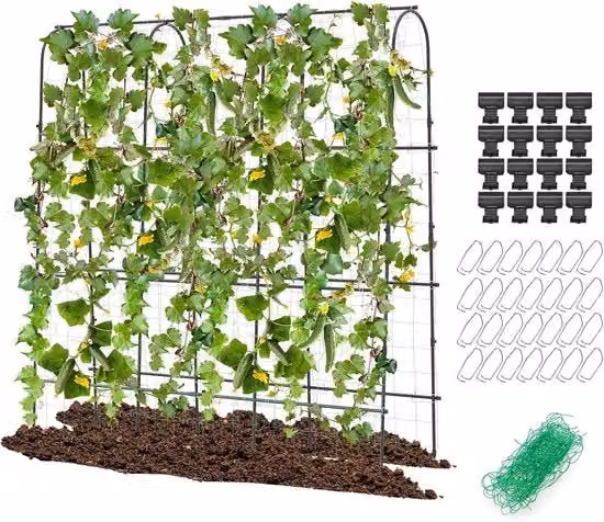 Reticolo metallico per piante rampicanti 6x6 metri - rete per crescita di pomodori e frutta - supporto per piante rampicanti per interni e esterni - standard per vite