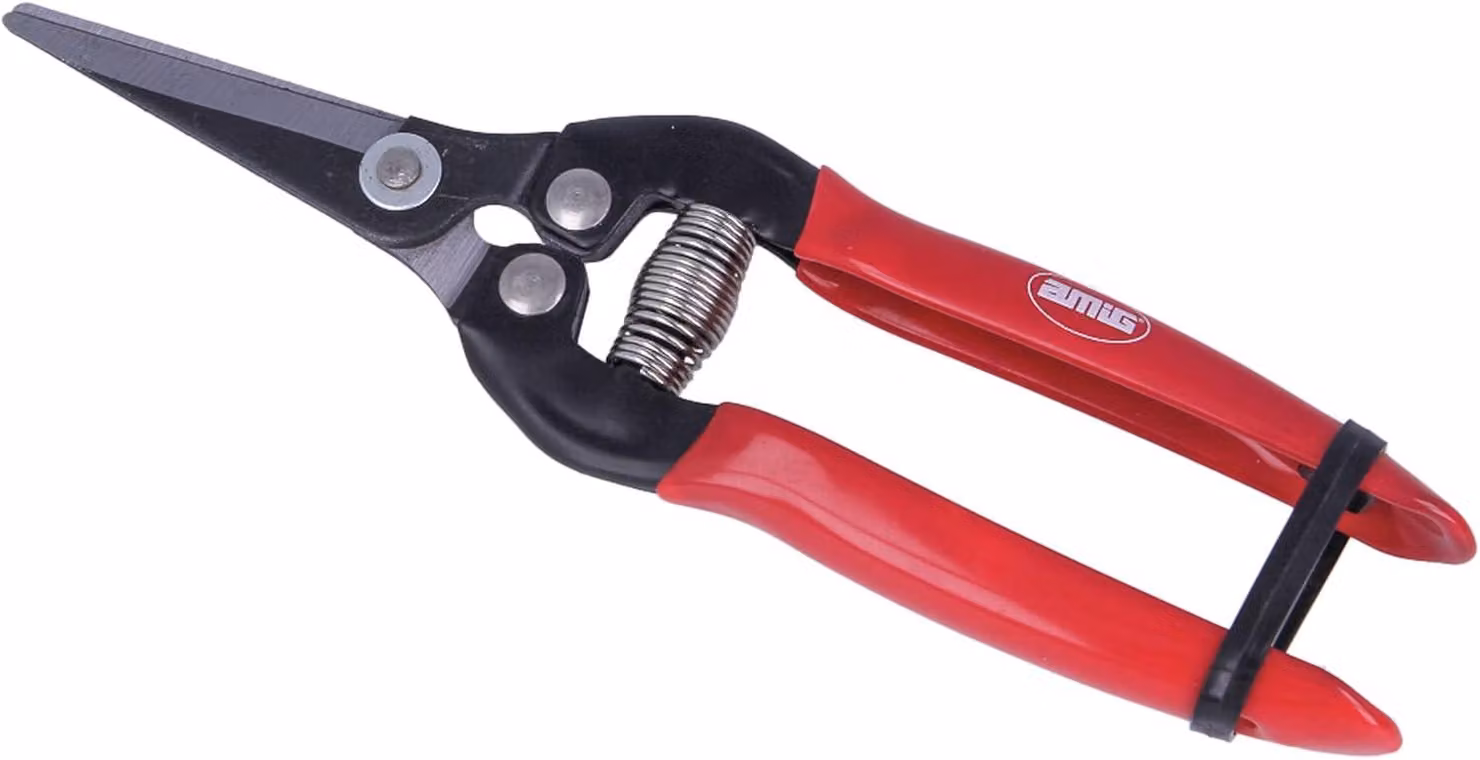 Forbici da raccolta manuali, lama in acciaio da 185 mm, impugnatura antiscivolo, punta curva, ideali per fiori e frutta