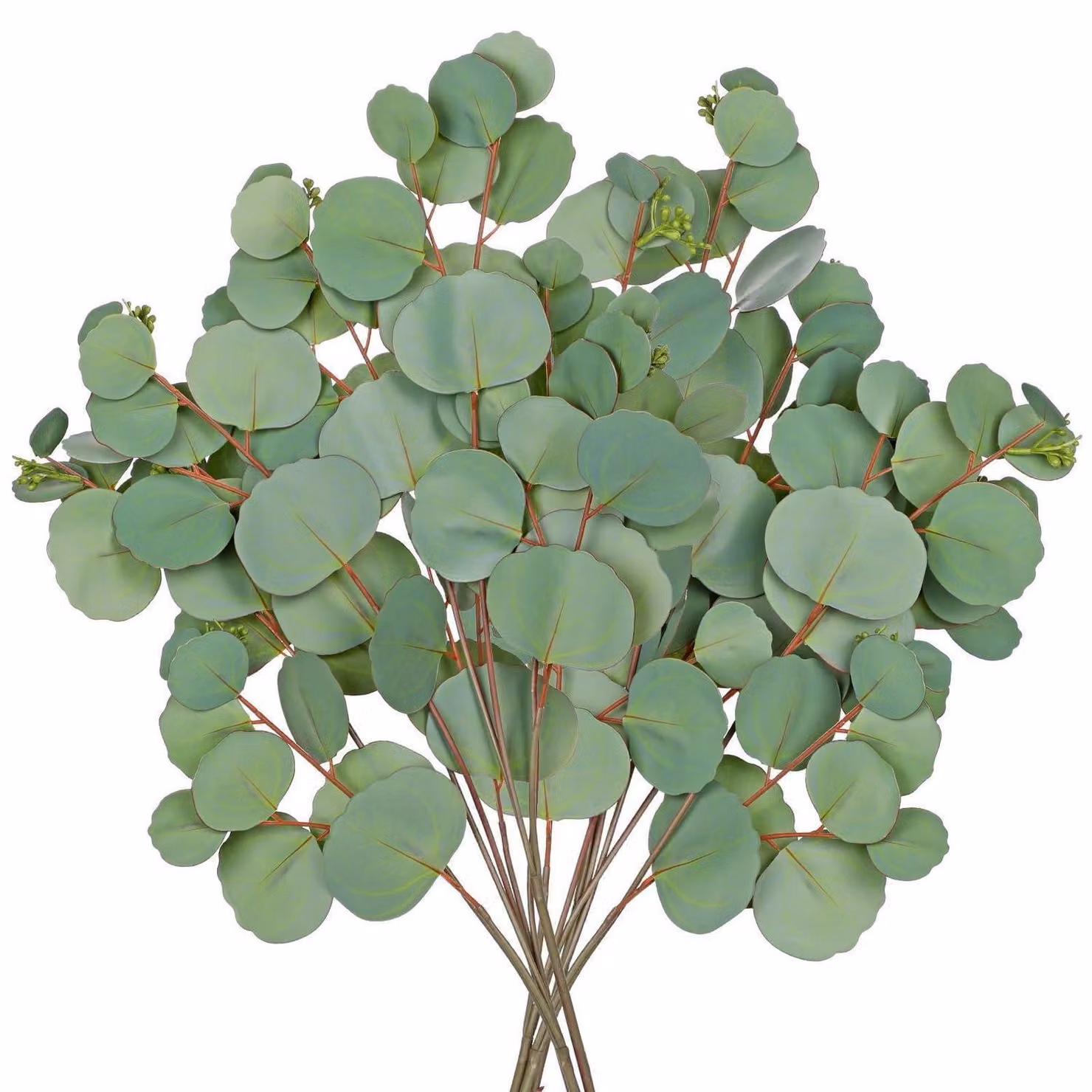 Rami di eucalipto artificiali, set da 10, 53 cm, verde, decorazioni