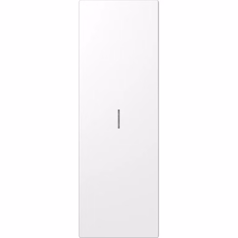 Jung ES2993KO5WW Interruttore a bilanciere per grandi superfici (70 x 212,4 mm) con guida luminosa bianco alpino (acciaio inossidabile verniciato)