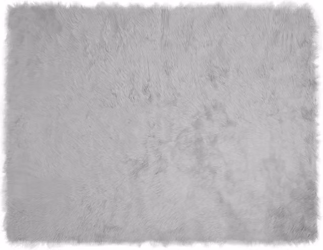 Tappeto moderno in poliestere TAFALLA Grigio per soggiorno L: 340 cm, P: 240 cm