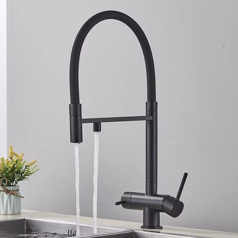 Rubinetto da cucina con filtro - Rubinetto a 3 vie - Doppia maniglia - Doccetta estraibile - Orientabile a 360° - Montaggio monoforo - Acciaio inossidabile - Cartuccia in Vetroceramica - Nero opaco