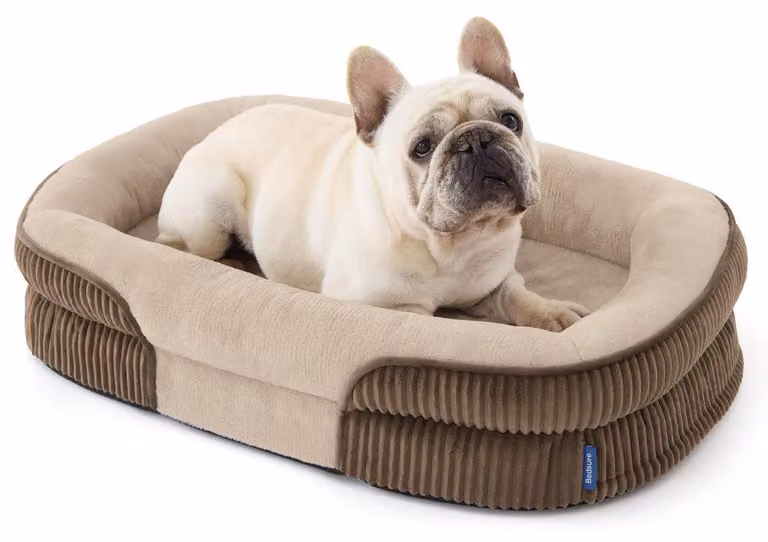 Cuccia ortopedica per cani di taglia media, dimensioni 76x51x16,5 cm, colore marrone