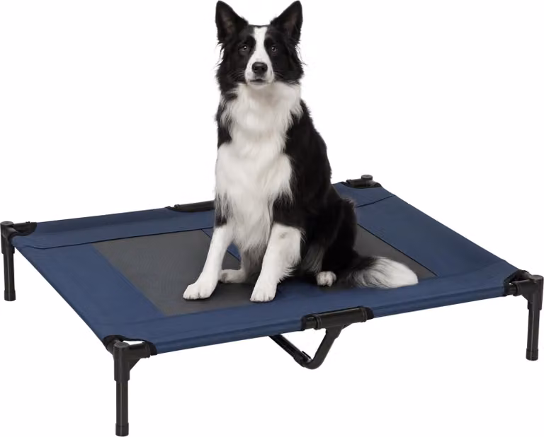 PawHut Letto per cani letto per gatti letto da campeggio letto rialzato per animali tessuto Oxford textilene ad alto comfort metallo microforato 92L x 76W x 18H cm blu