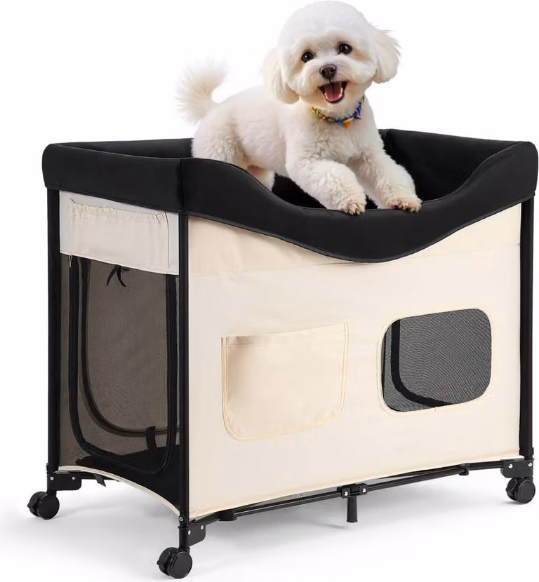 Cuccia rialzata per cani, beige, grande (XL), pieghevole, capacità di carico: 45 kg