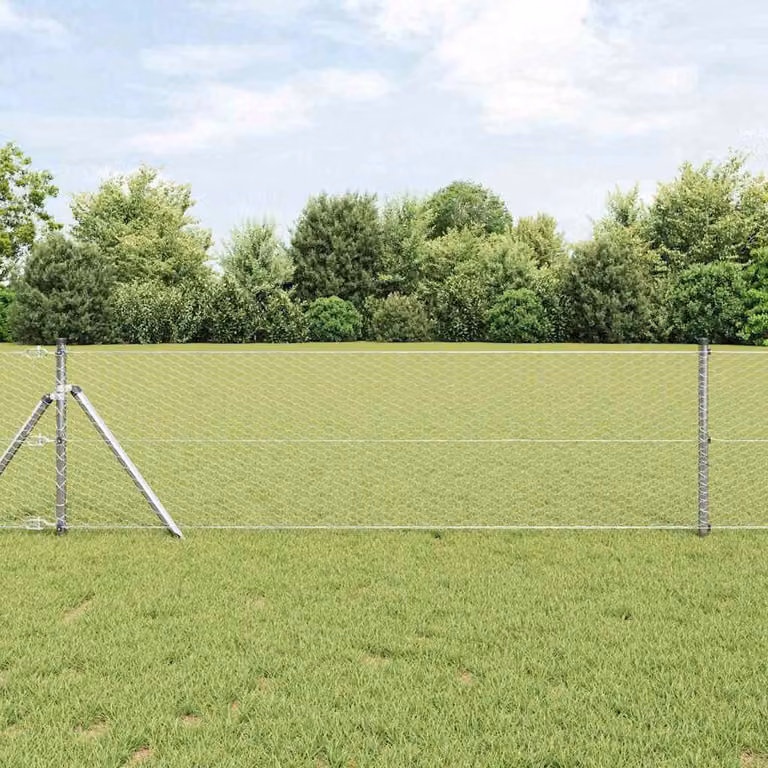 Maison Exclusive - Palo della recinzione Argento 10 x 0,6 m (rete da 25 mm)