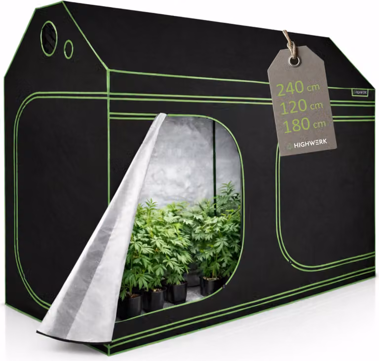 HIGHWERK Tenda da coltivazione 240 x 120 x 180 cm, "MyHomeGrow" Tenda da coltivazione per soffitti inclinati, nero verde
