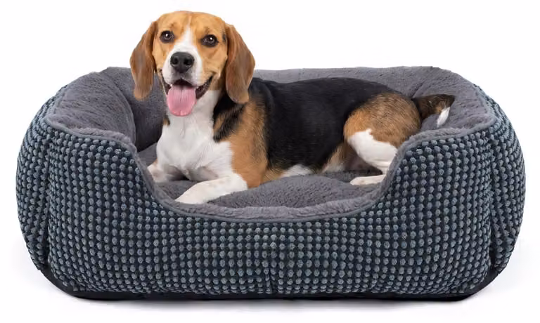 Cuccia per cani Cuscino per cani - 63 x 53 x 20 cm - Taglia media - Lavabile