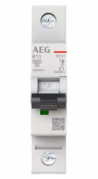 Interruttore automatico AEG Elfaplus 6kA B13A 1P (2CDS251088R0135)