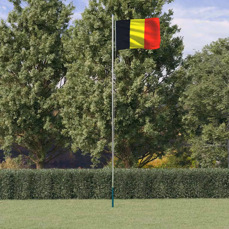 Asta e bandiera del Belgio vidaXL in alluminio e poliestere, argento e multicolore, Altezza: 6,08 m