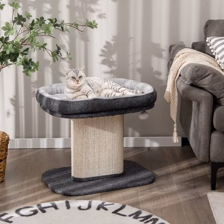 COSTWAY piccolo tiragraffi, alto 50 cm, albero per gatti con sedile in morbido peluche e tiragraffi in sisal e pallina, tiragraffi in legno per gatti, albero da arrampicata per gatti, albero da gioco con attività (grigio)
