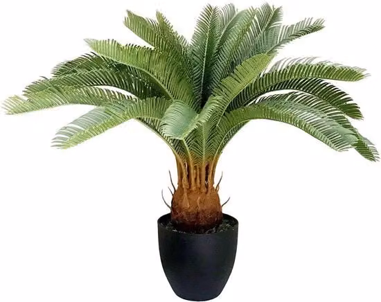 Pianta Artificiale a Foglia di Palma, 70 cm