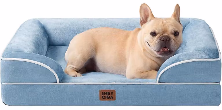 Cuccia ortopedica per cani, 76x51 cm, con imbottitura in memory foam e bordo rialzato, colore azzurro chiaro