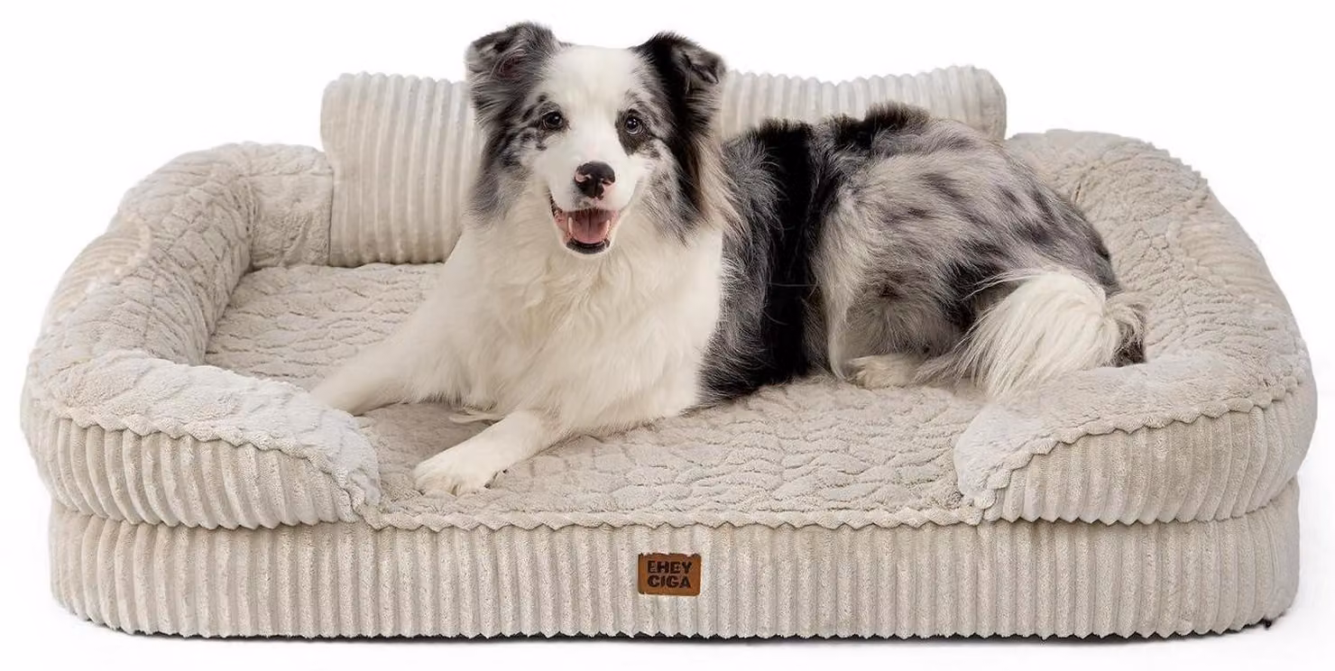 Cuccia ortopedica per cani, taglia media, 104x69 cm. Realizzata in memory foam, lavabile. Cesto per cani con schienale rialzato, colore lino