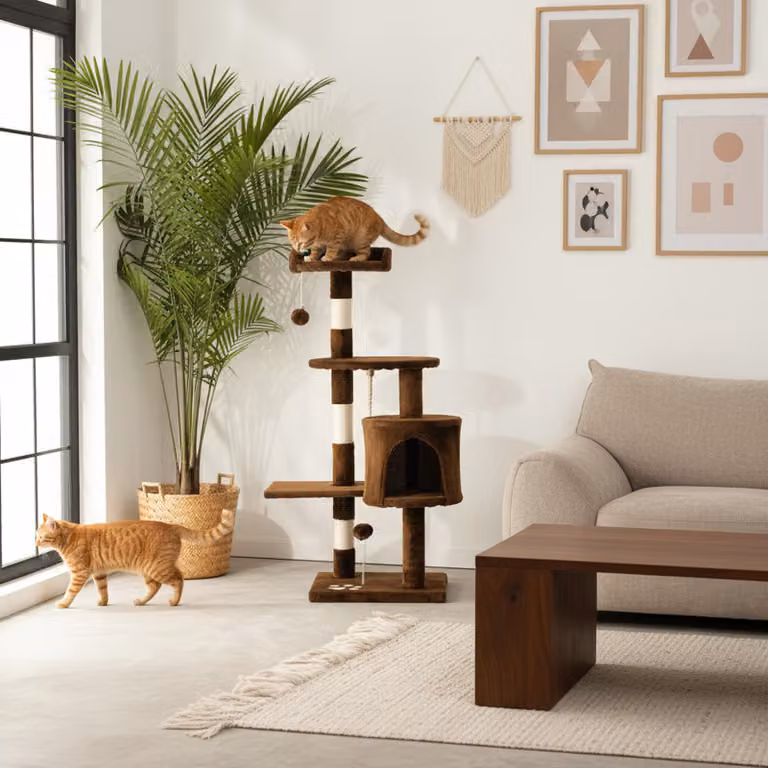 belviona tiragraffi per gatti, tiragraffi compatto da 112 cm con palline, sisal e grotta di coccole, marrone