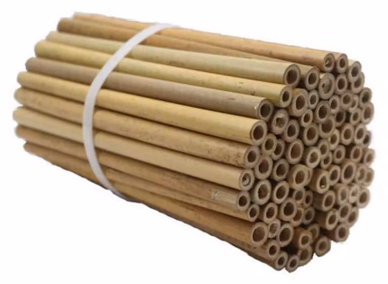 Cannucce di bambù per hotel per insetti, confezione da 100 pezzi, lunghezza 20 cm, superficie interna liscia