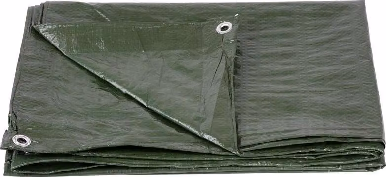 Telo Tarpaulin Light 5x8 m, 65 g/m2, di copertura, verde, con occhielli