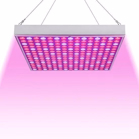 Lampada a LED per piante da interno, 15W, adatta per piante da appartamento