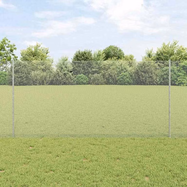 Maison Exclusive - Recinzione con Posto Argento 1,2 x 25 m Acciaio