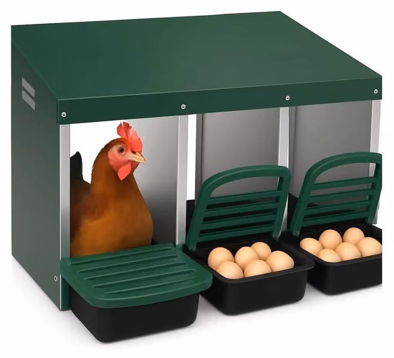 Cassetta per nidi di galline, design a rullo, struttura in metallo resistente, colore verde
